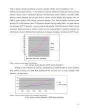 Valiutos krizės: priežastys ir padariniai 11 puslapis