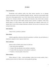 Valiutos krizės: priežastys ir padariniai 3 puslapis