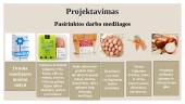 Mėsos pusgaminis ,,Vištienos mėsos duonelė“ 11 puslapis