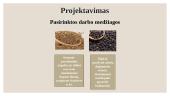Mėsos pusgaminis ,,Vištienos mėsos duonelė“ 12 puslapis