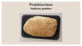 Mėsos pusgaminis ,,Vištienos mėsos duonelė“ 17 puslapis