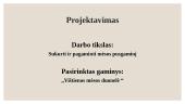 Mėsos pusgaminis ,,Vištienos mėsos duonelė“ 4 puslapis