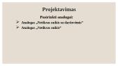Mėsos pusgaminis ,,Vištienos mėsos duonelė“ 6 puslapis