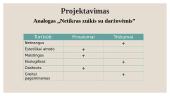 Mėsos pusgaminis ,,Vištienos mėsos duonelė“ 7 puslapis