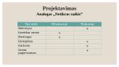 Mėsos pusgaminis ,,Vištienos mėsos duonelė“ 8 puslapis