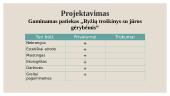 Mėsos pusgaminis ,,Vištienos mėsos duonelė“ 9 puslapis