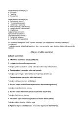 Raumenys (musculi) 2 puslapis