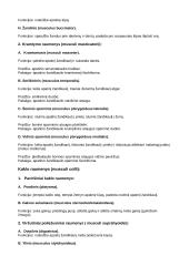 Raumenys (musculi) 3 puslapis