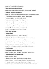 Raumenys (musculi) 4 puslapis