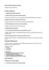 Raumenys (musculi) 6 puslapis