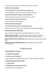 Raumenys (musculi) 7 puslapis