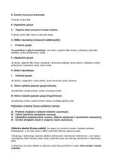 Raumenys (musculi) 8 puslapis