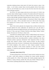 Valiutų sistemų raida ir jų reikšmė 13 puslapis