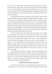 Valiutų sistemų raida ir jų reikšmė 17 puslapis