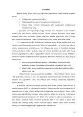 Valiutų sistemų raida ir jų reikšmė 20 puslapis