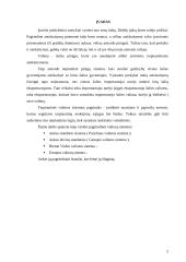 Valiutų sistemų raida ir jų reikšmė 3 puslapis