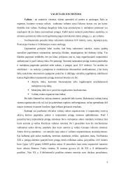 Valiutų sistemų raida ir jų reikšmė 4 puslapis