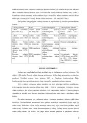 Valiutų sistemų raida ir jų reikšmė 5 puslapis