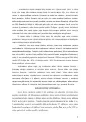 Valiutų sistemų raida ir jų reikšmė 9 puslapis