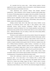 Valiutų sistemų raida ir jų reikšmė 10 puslapis