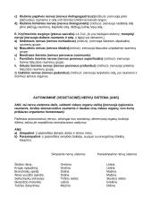 Nervų sistema (systema nervosum) 11 puslapis
