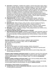 Nervų sistema (systema nervosum) 3 puslapis