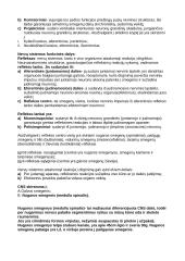 Nervų sistema (systema nervosum) 4 puslapis