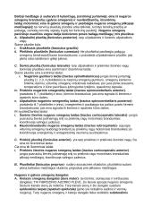 Nervų sistema (systema nervosum) 7 puslapis