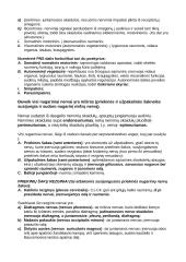 Nervų sistema (systema nervosum) 9 puslapis