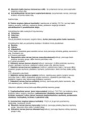 Nervų sistema (systema nervosum) 10 puslapis