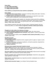 Vidaus organai 11 puslapis