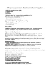 Vidaus organai 12 puslapis