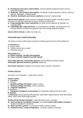 Vidaus organai 13 puslapis