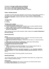 Vidaus organai 14 puslapis