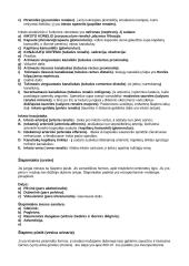 Vidaus organai 17 puslapis