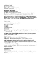 Vidaus organai 18 puslapis