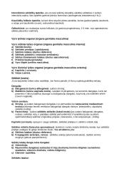 Vidaus organai 19 puslapis