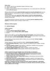 Vidaus organai 3 puslapis