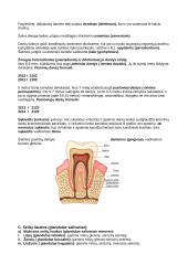 Vidaus organai 5 puslapis