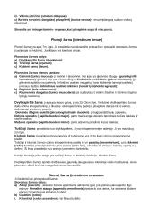 Vidaus organai 8 puslapis