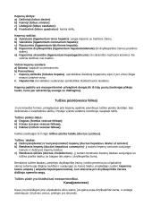 Vidaus organai 10 puslapis