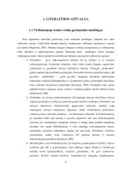 Veikliųjų dalių panaudojimas jogurtų gamyboje  6 puslapis