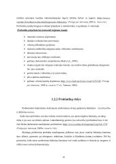 Veikliųjų dalių panaudojimas jogurtų gamyboje  10 puslapis