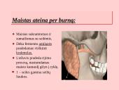 Fermentai. Virškinimo ypatumai  11 puslapis