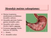 Fermentai. Virškinimo ypatumai  12 puslapis