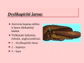 Fermentai. Virškinimo ypatumai  13 puslapis