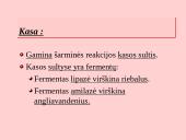 Fermentai. Virškinimo ypatumai  14 puslapis
