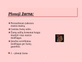 Fermentai. Virškinimo ypatumai  17 puslapis