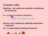Fermentai. Virškinimo ypatumai  3 puslapis