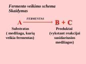 Fermentai. Virškinimo ypatumai  4 puslapis